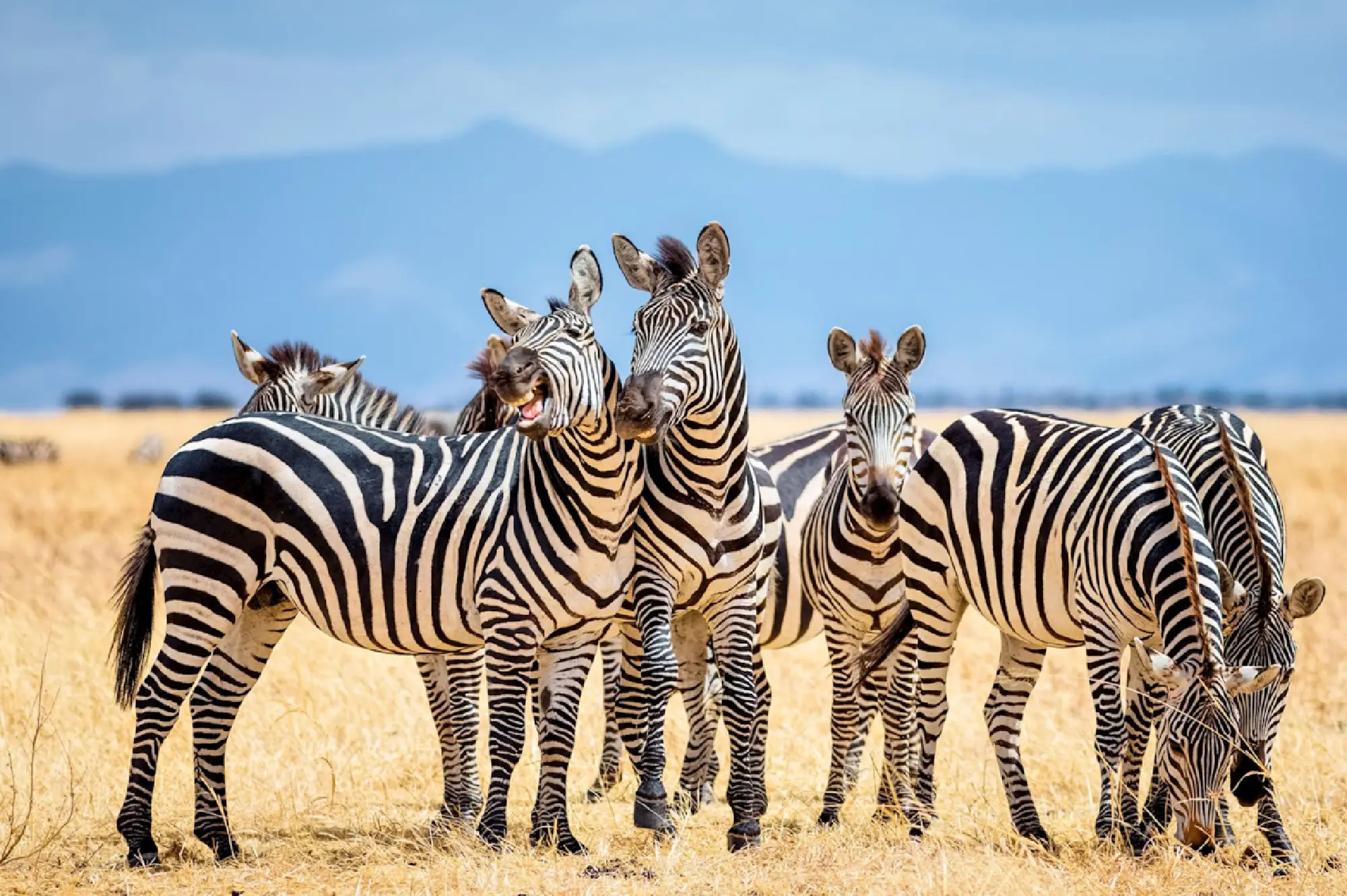 Tarangire National Park Attractions