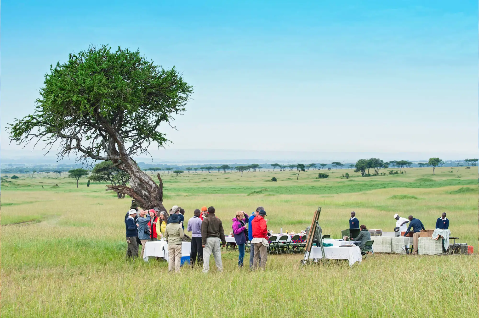 Tarangire National Park Attractions