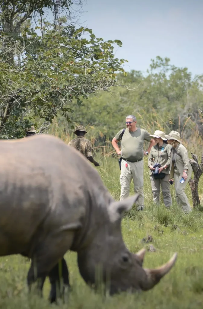 ziwa rhino sanctuary 1