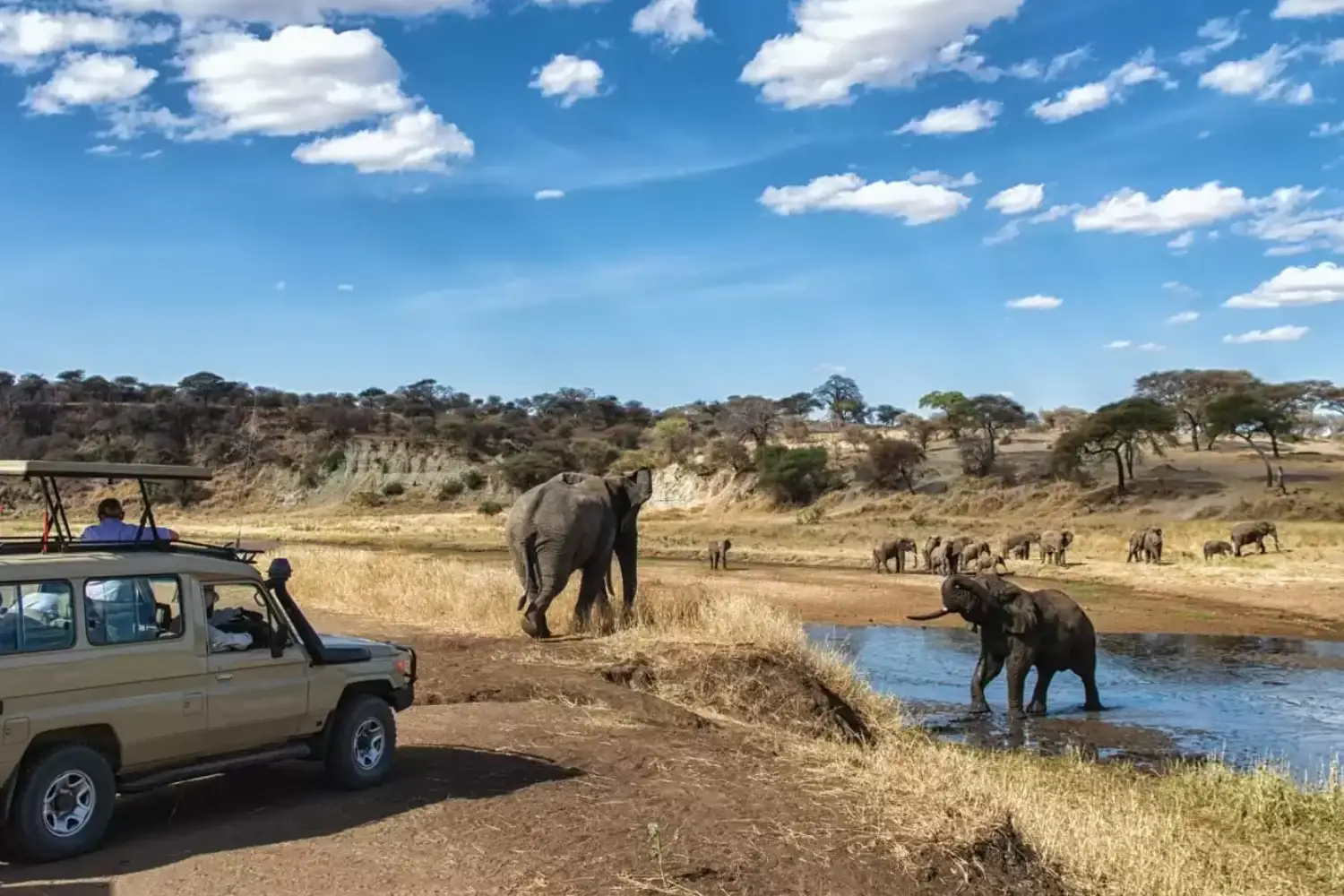 Luxury Holidays Kenya Safari