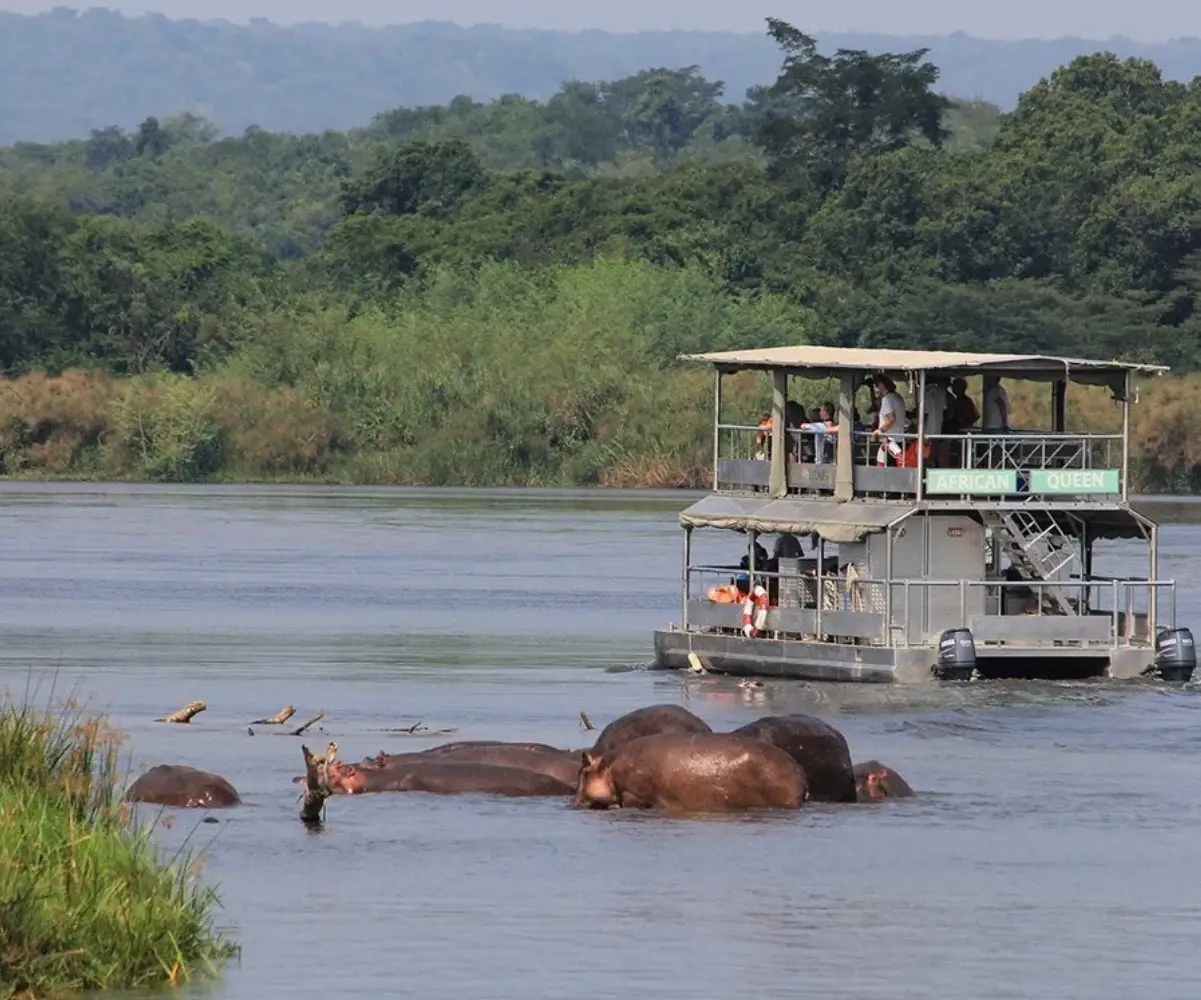 Uganda Fishing Safari
