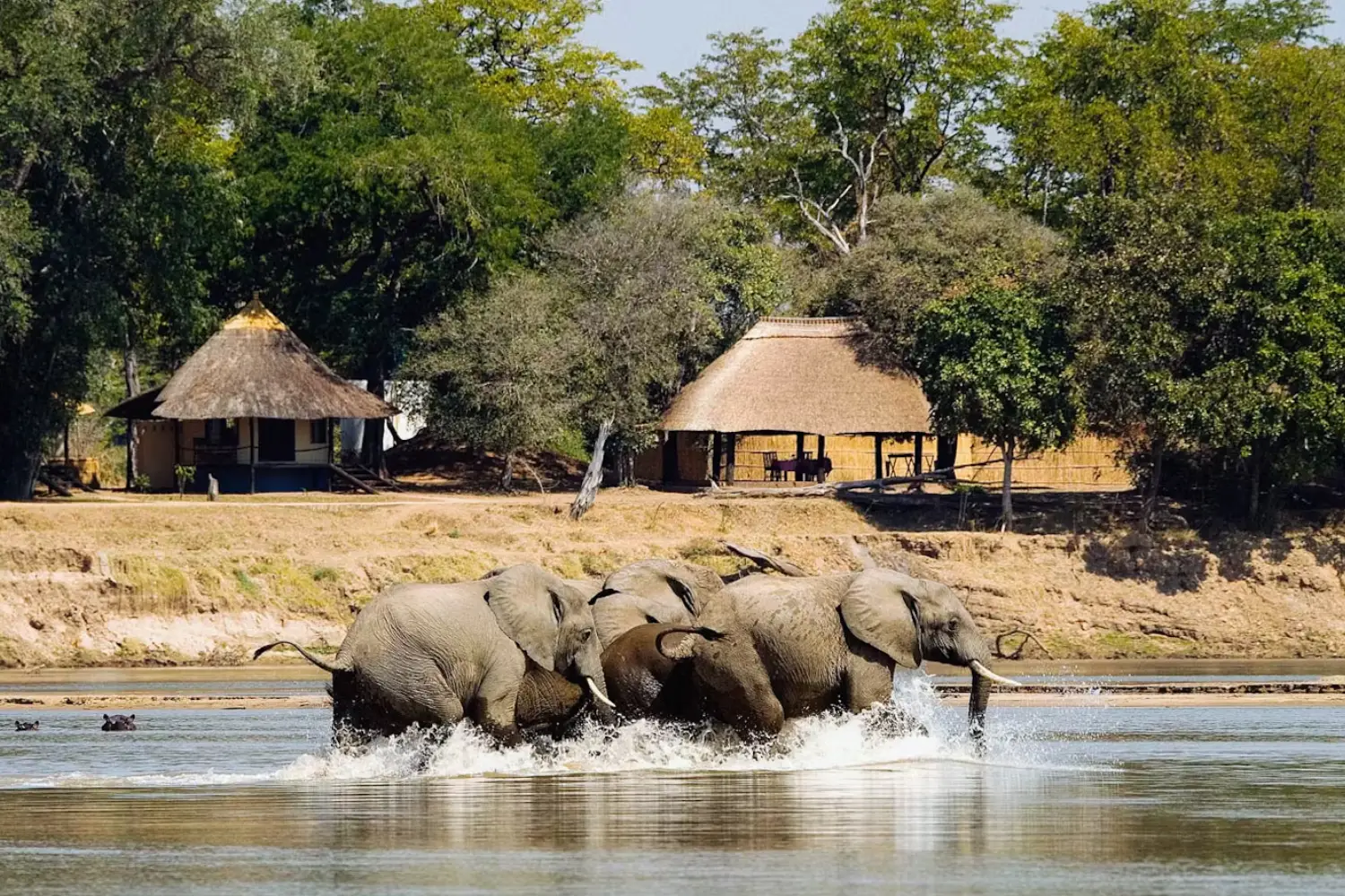 Zambia Classic Safari