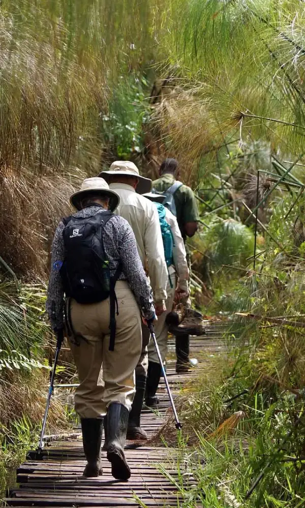 Uganda Birding Tour