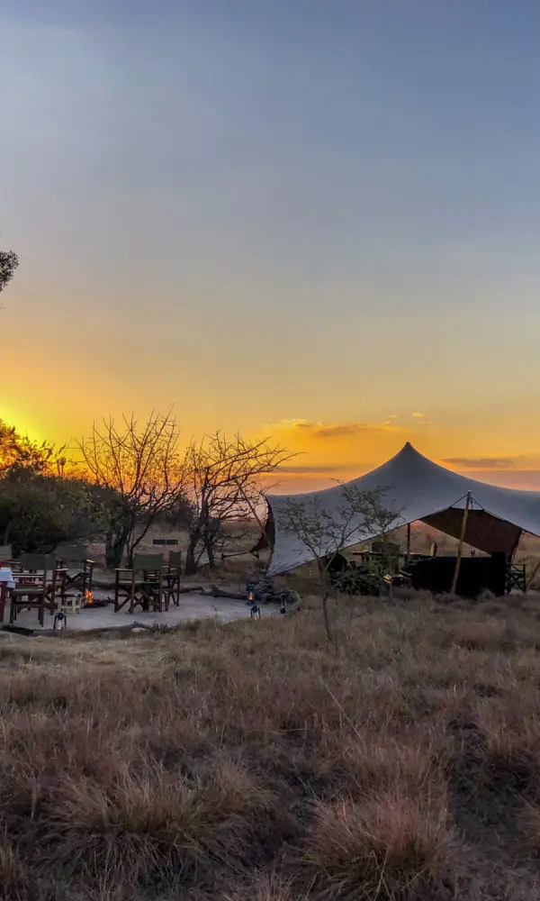 Zambia Wildlife Safaris