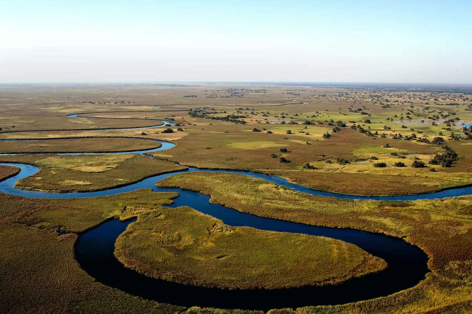 Zimbabwe And Botswana Safari