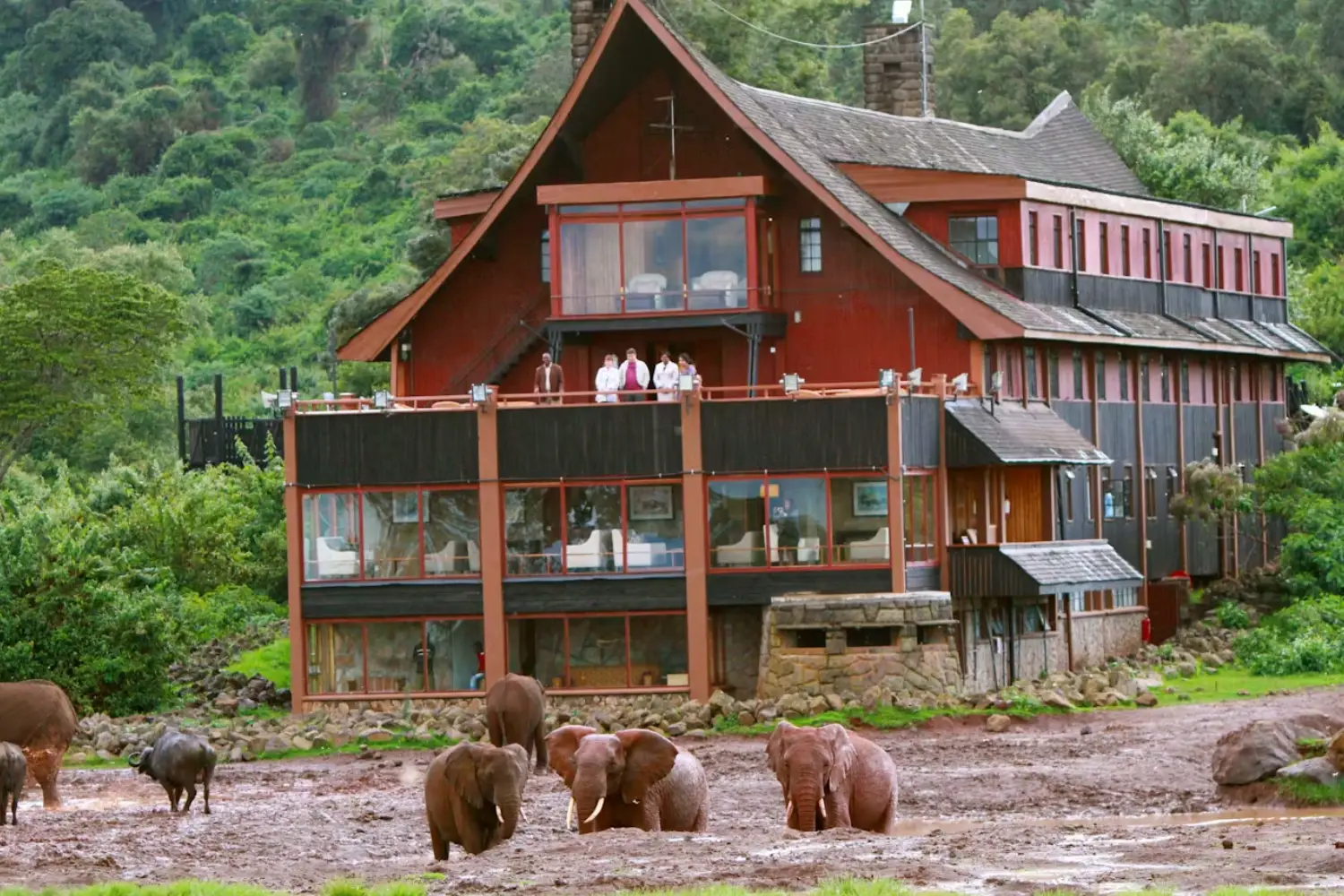 Birding And Wildlife Safari In Kenya