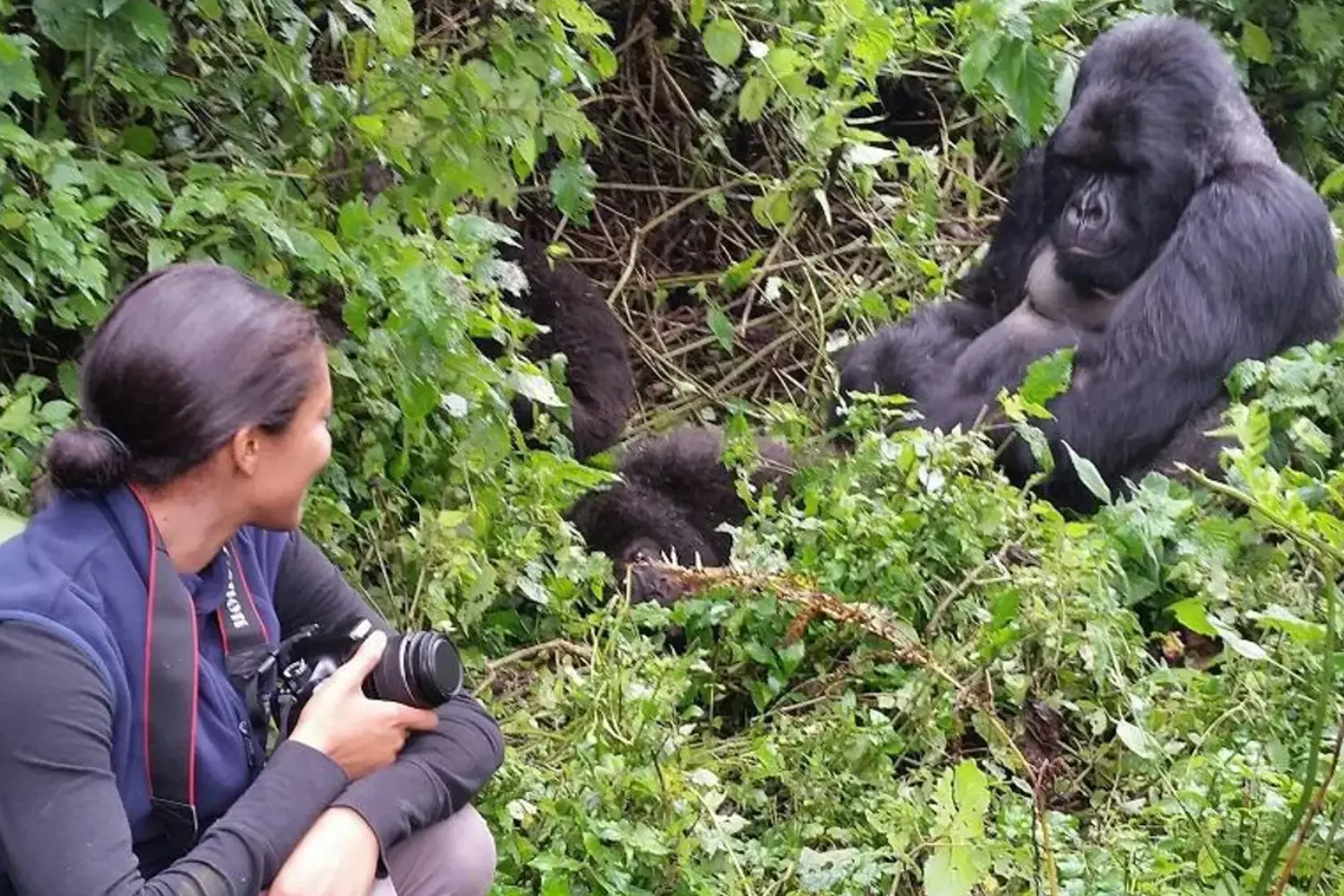 Gorilla Trekking Photo Safari In Uganda