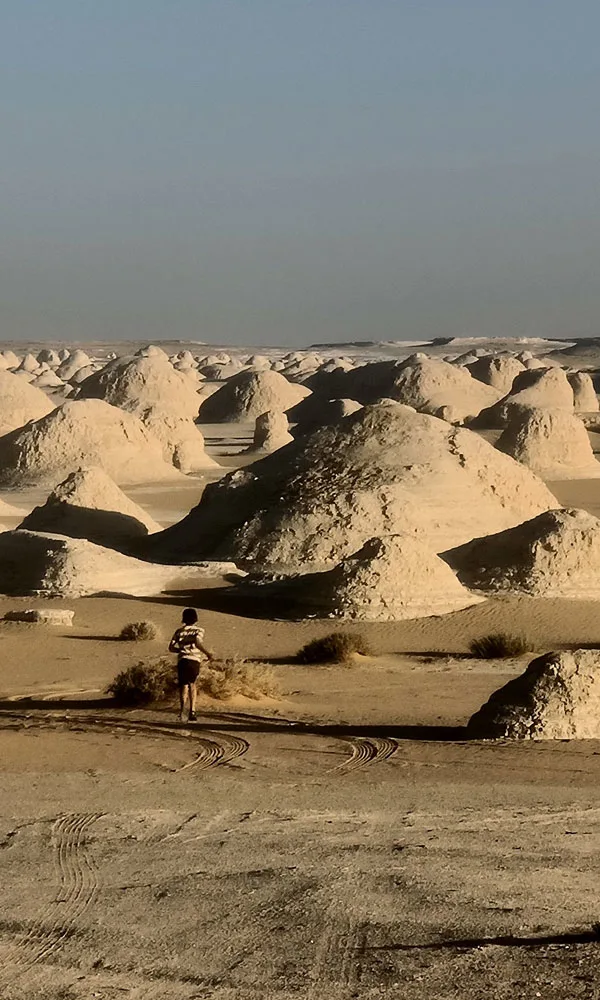 Egypt White Desert Tour