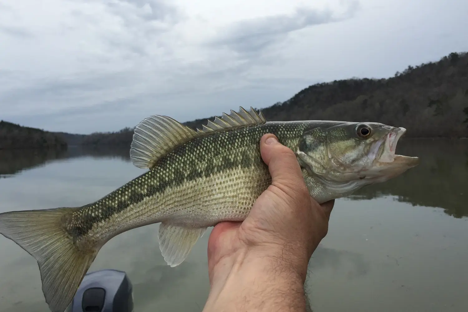 Lake Victoria Fishing Safari in Uganda