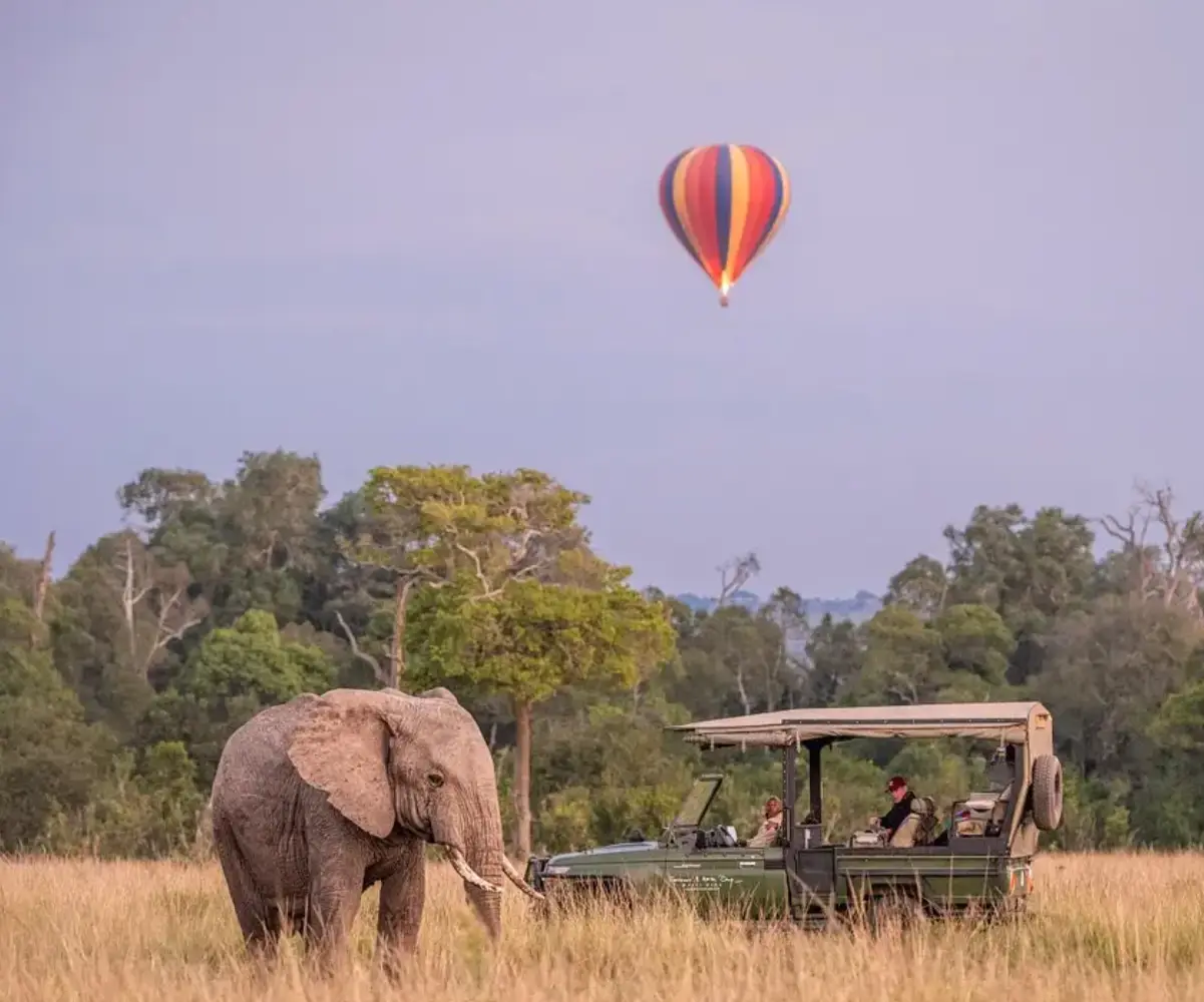 Fly-in Safari to Masai Mara