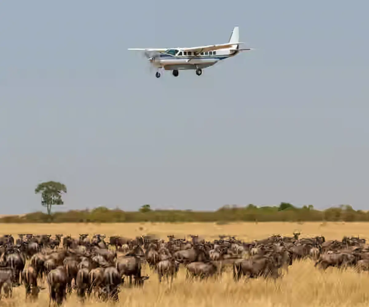 Fly-in Safari to Masai Mara