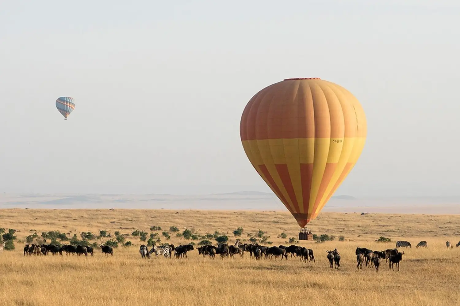 Masai Mara Safari