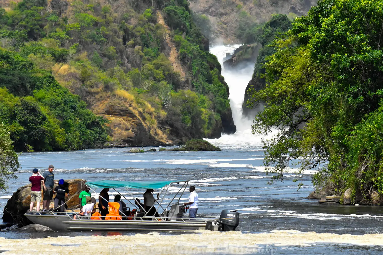 Murchison Falls & Ziwa Rhino Sanctuary