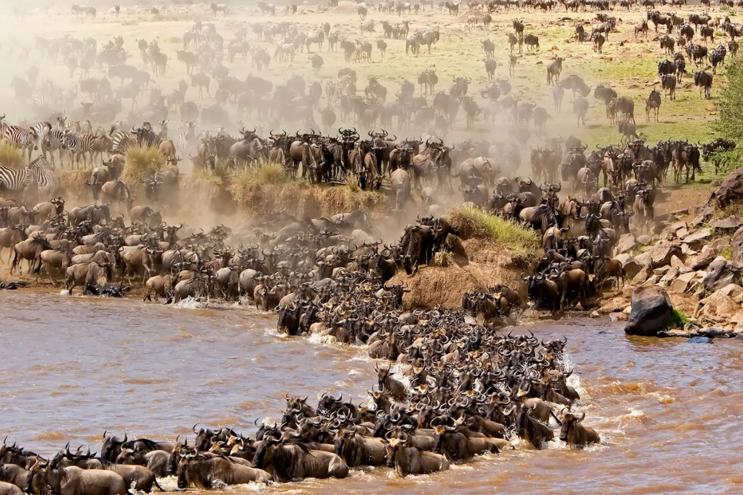 Wildebeest Migration Kenya Safari to Masai Mara