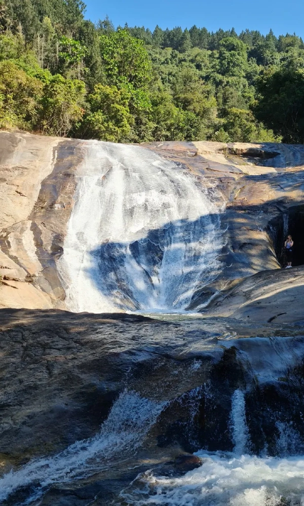 5 Days South Africa Luxury Safari Adventure