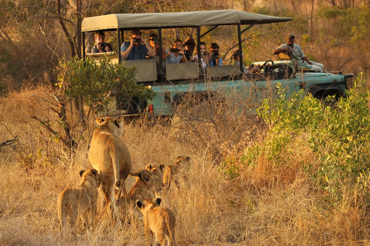 5 Days South Africa Luxury Safari Adventure