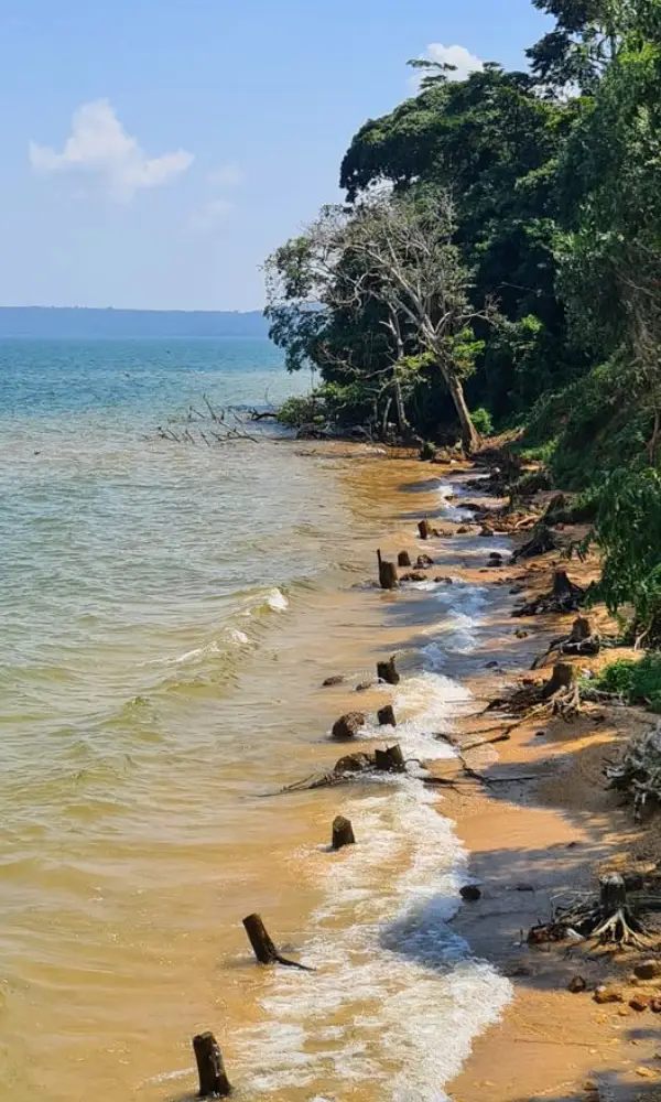 Uganda Fishing Safari