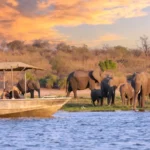 Botswana Safari And Zimbabwe Tour