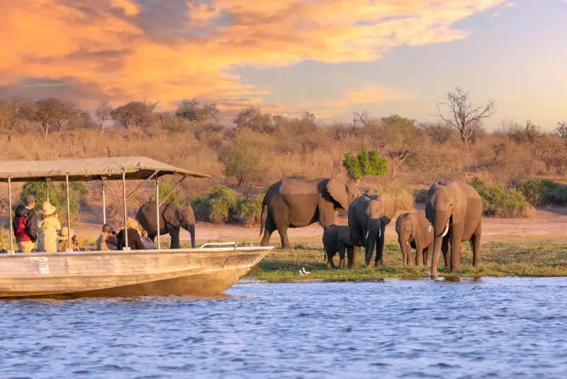 Top 5 Safari Destinations in Tanzania