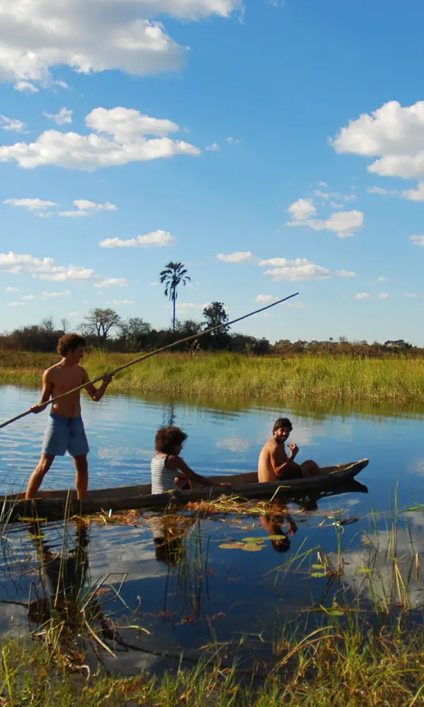 Botswana Safari And Zimbabwe Tour