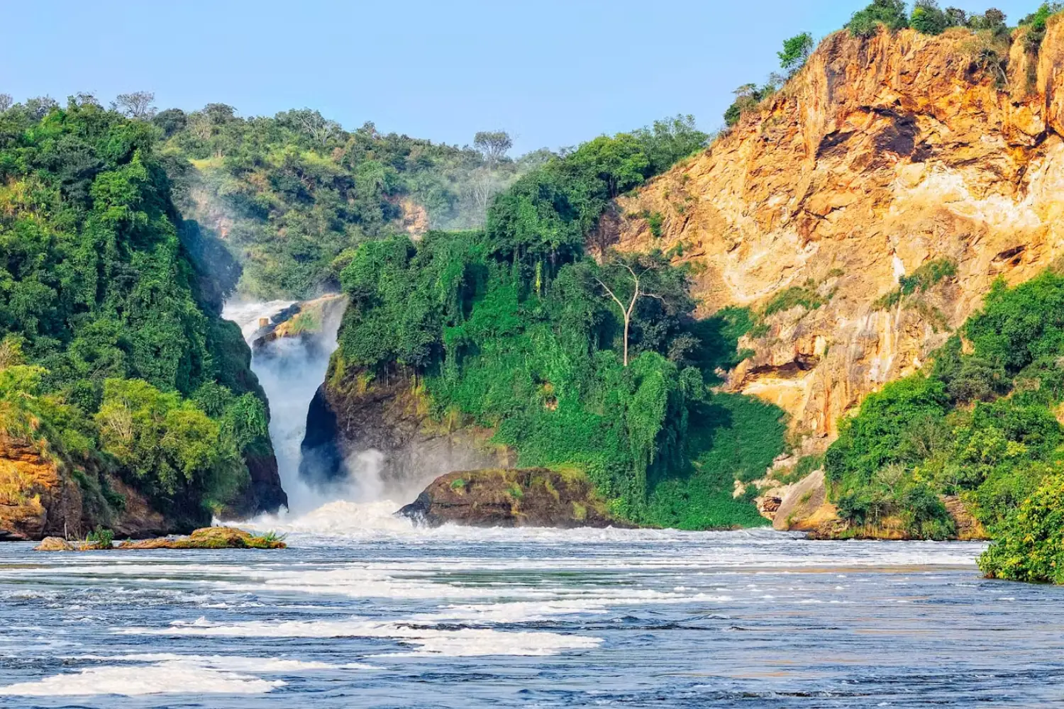 Big Five Photography Safari in Uganda
