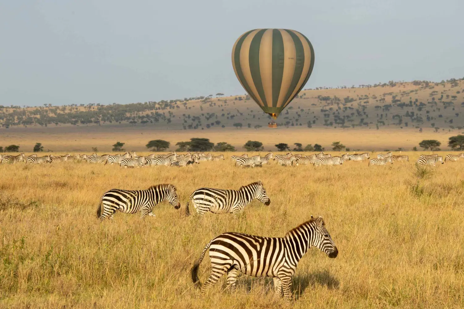 Masai Mara & Amboseli Kenya Safari