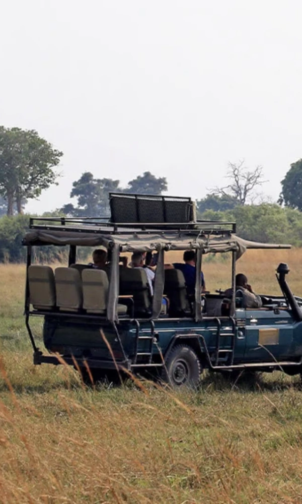 7 Days Best of Big Cats Botswana Safari