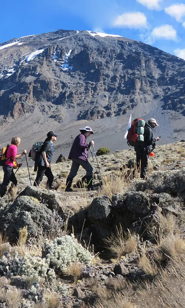 Machame Route