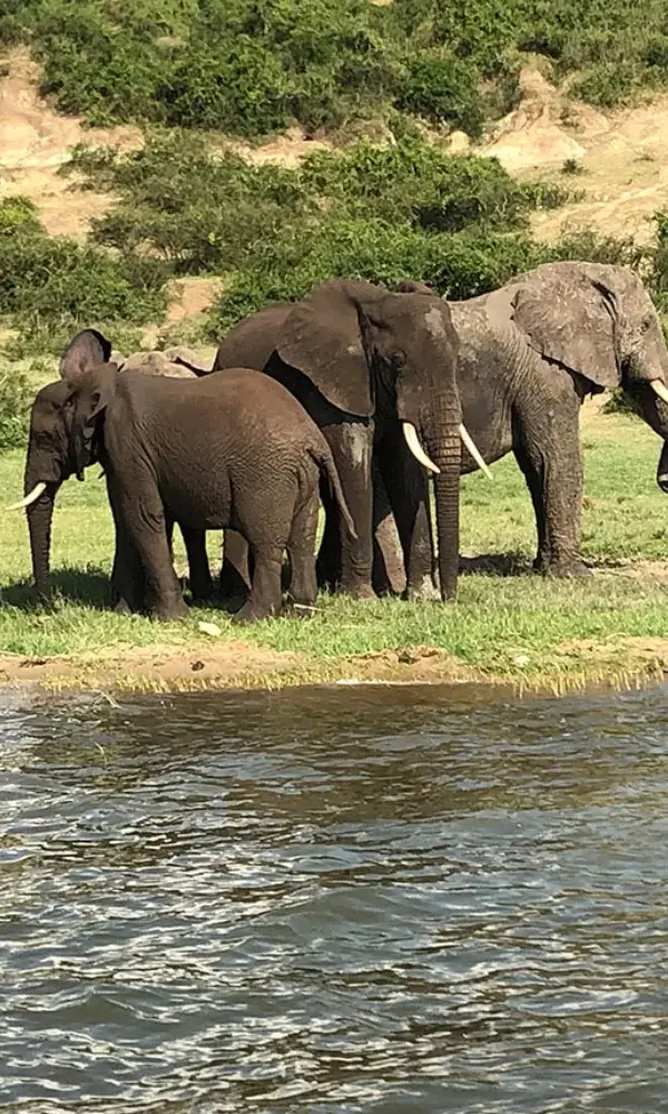 Uganda Beauty Photography Safari