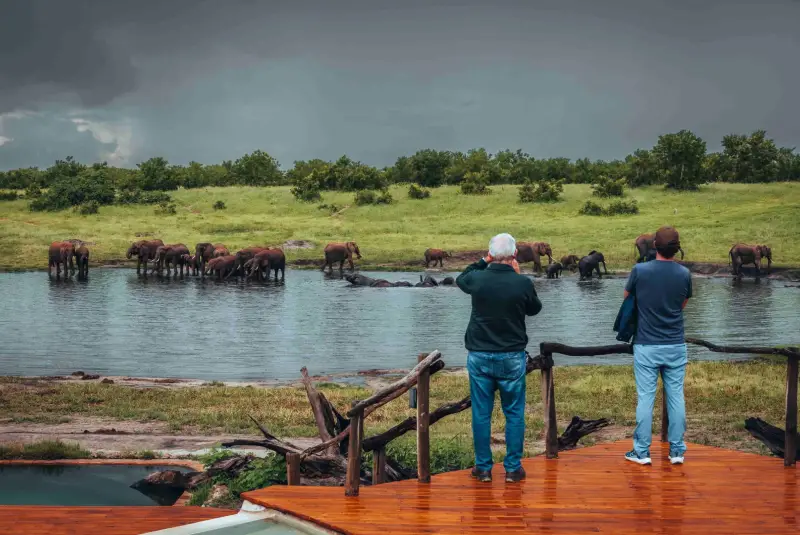 Zimbabwe Safari Tours