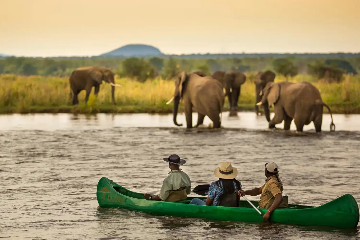 Zambia And Botswana Safari