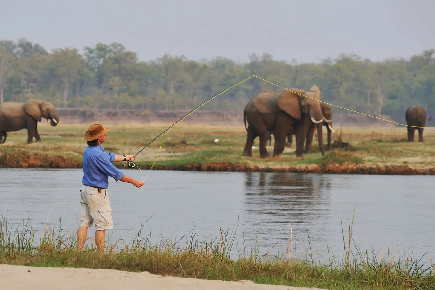 Zambia And Botswana Safari