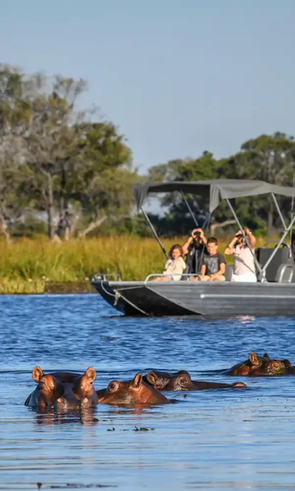 Zambia And Botswana Safari