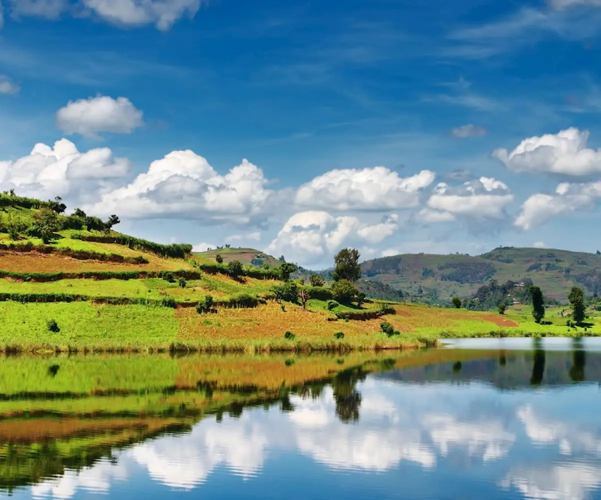Uganda Birding Tour