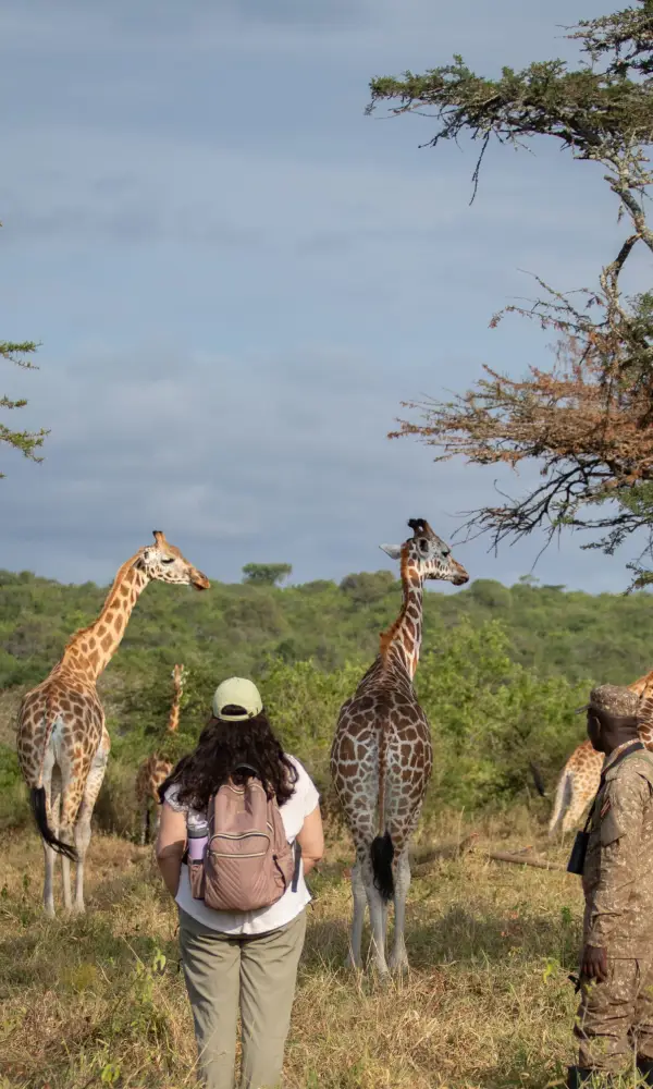 Uganda Birding Tour