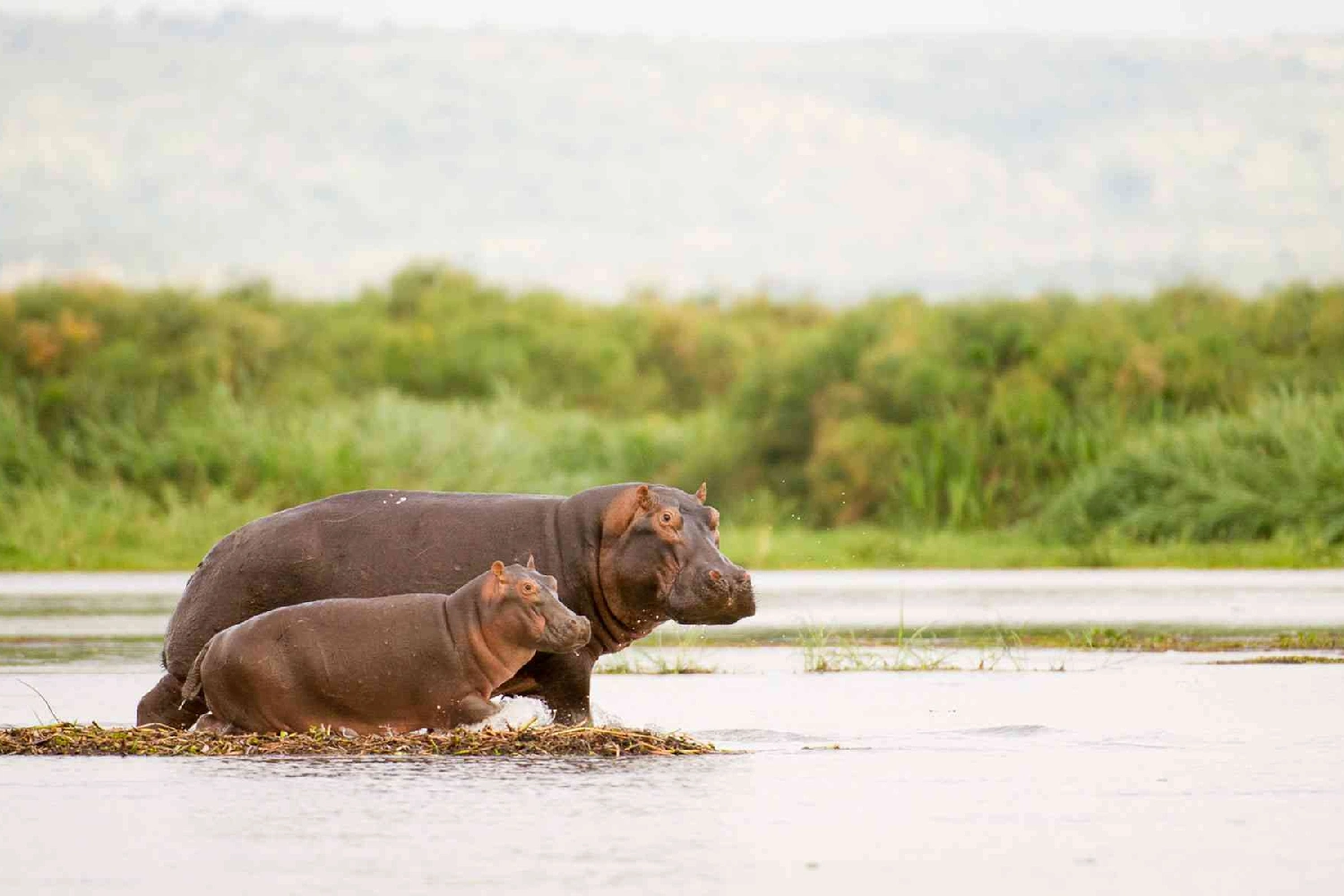 9 Days South Africa & Zimbabwe Grand Safari Adventure