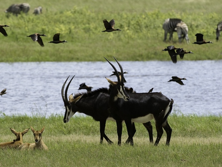Zimbabwe Destinations