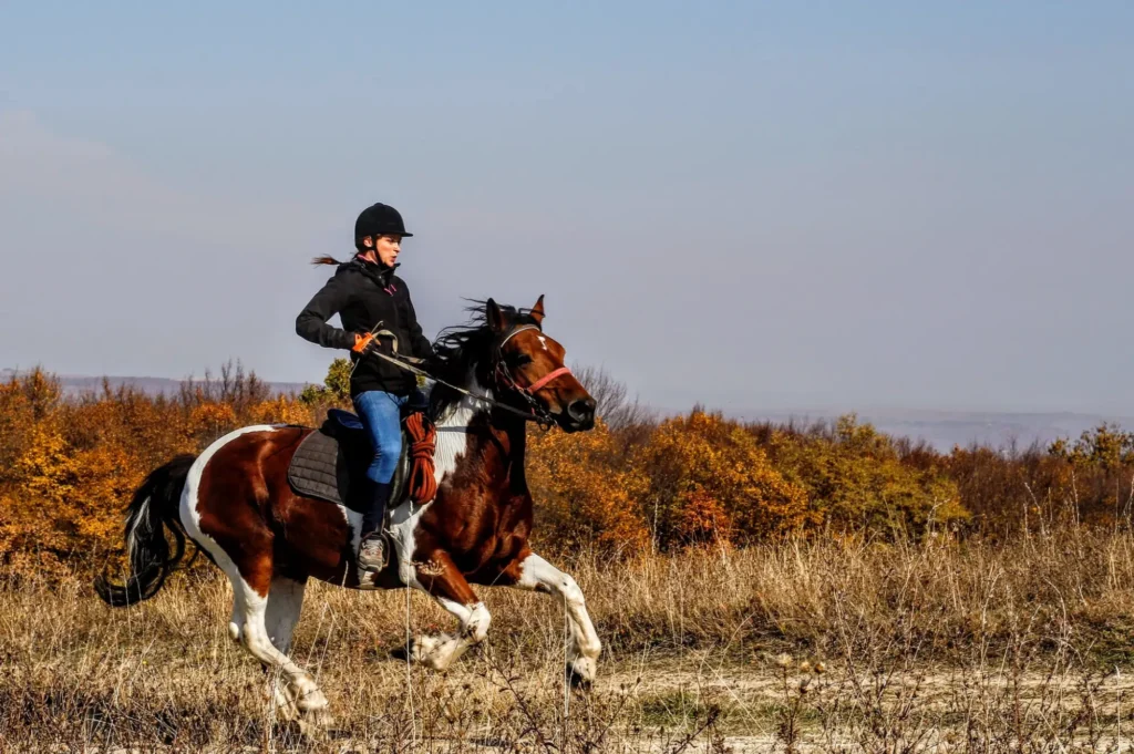 horseback safaris in lake mburo