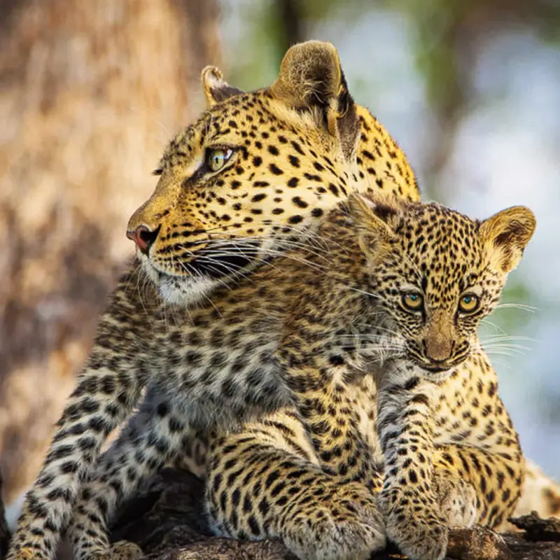 Botswana Destinations