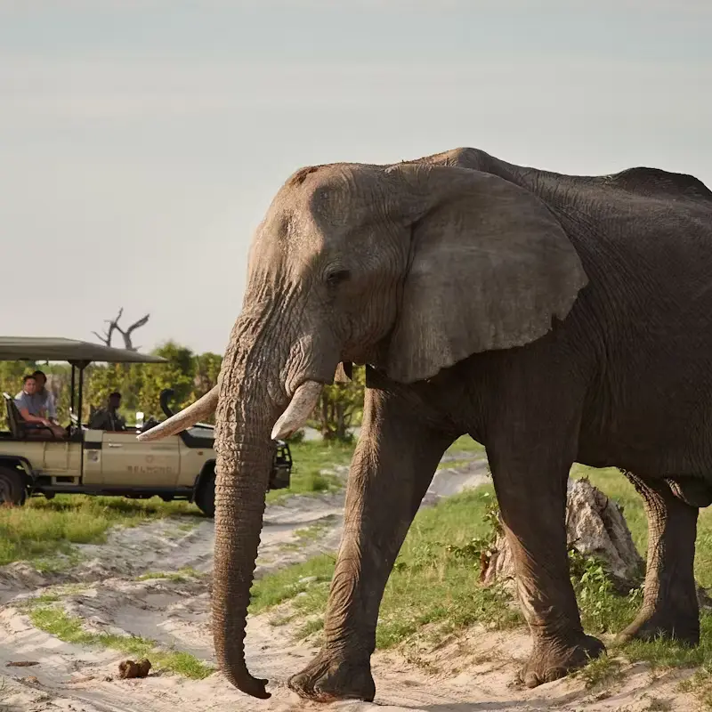 Botswana Destinations