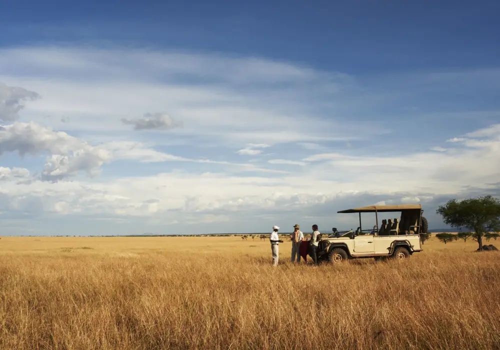 Game Drives