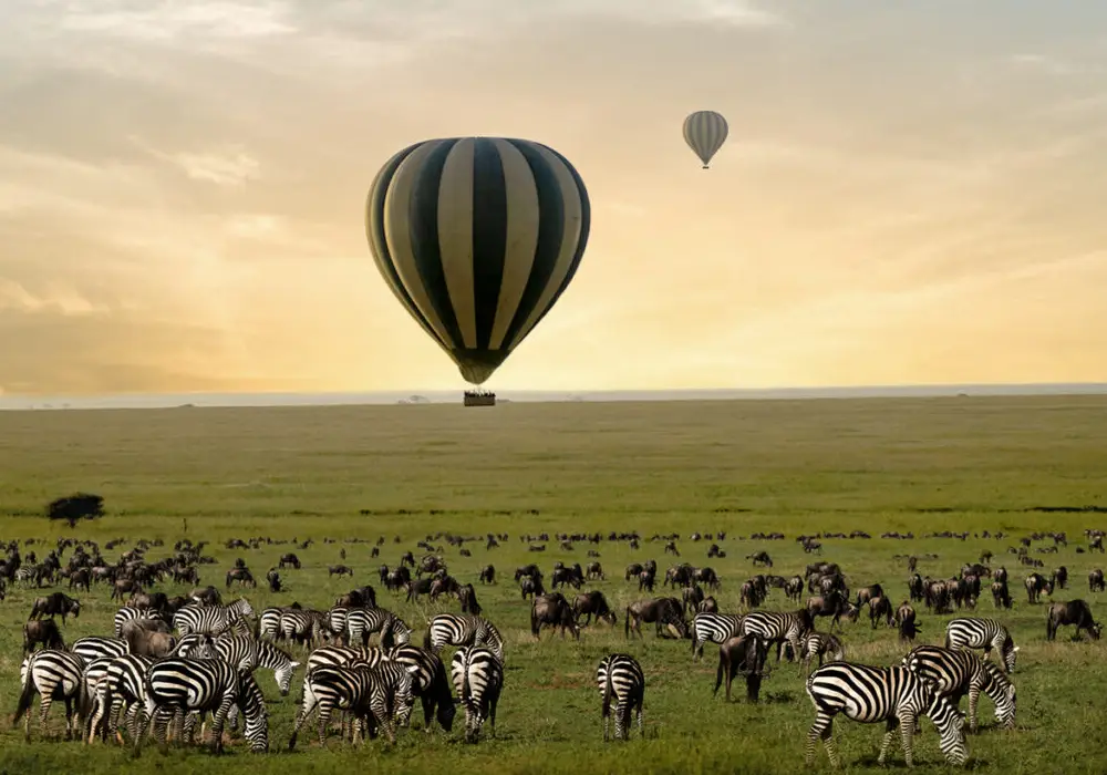 Hot Air Balloon Safari