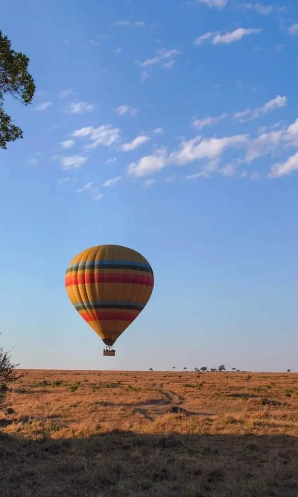 Hot Air Balloon Safari
