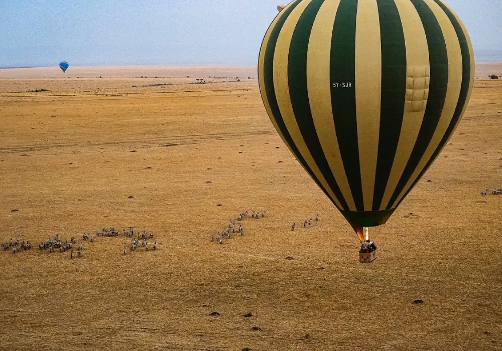 Hot Air Balloon Safari