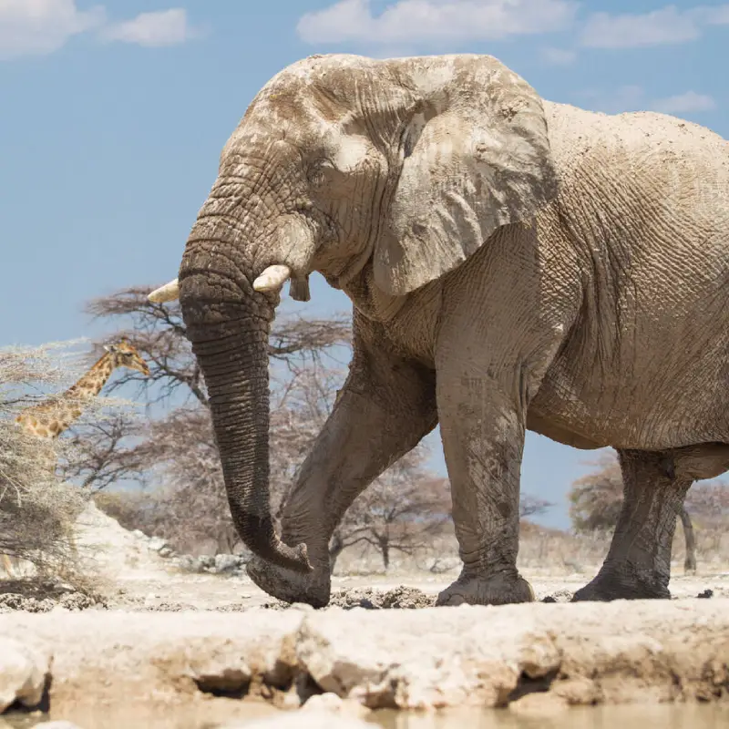 Namibia Destinations