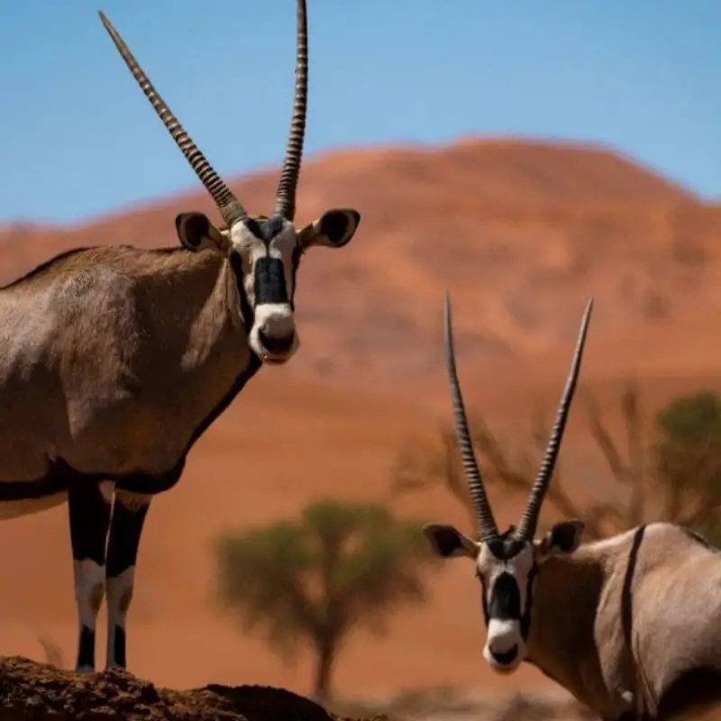 Namibia Destinations