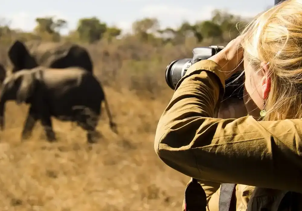 Photography Safari