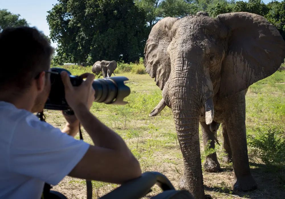 Photography Safari