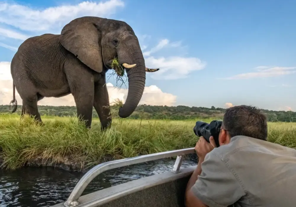 Photography Safari