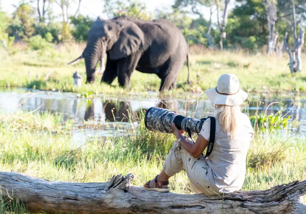 Photography Safari